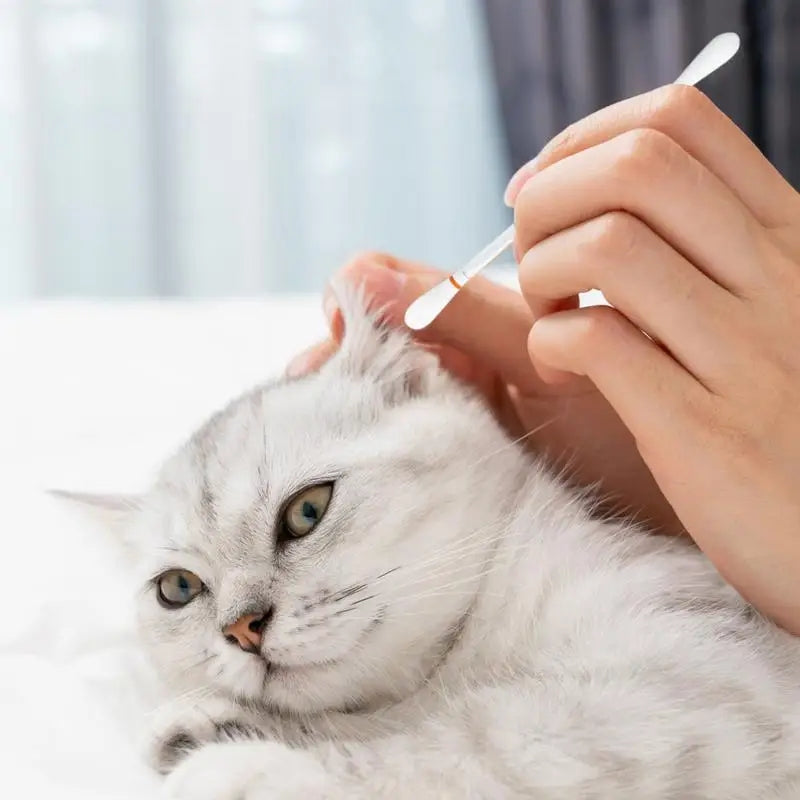 Dog Ear Cleaning Cotton Swabs,Multipurpose Ear Cleaning Cotton Swabs - 50PCS - Cutier Store