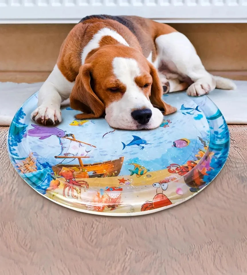 Cute Cat Water Bed - Cutier Store