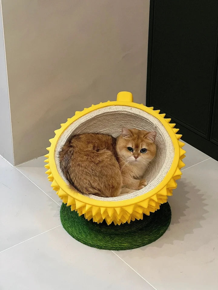Durian Anti Scratching Bed - Cutier Store