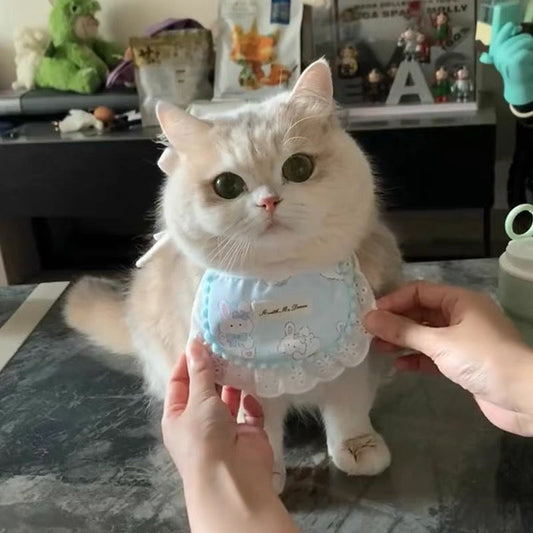 CUTIER Cat Scarf - Cutier Store