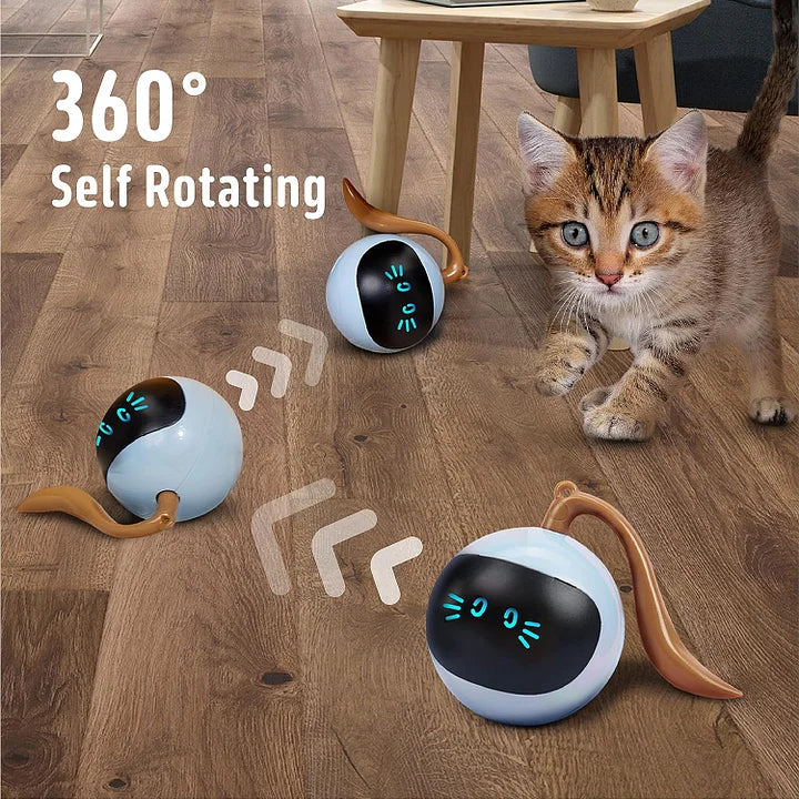 Cat Toys 360°Self Rolling smart Interactive Ball Hunting Toy - Cutier Store