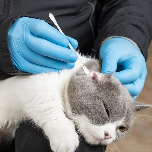 Dog Ear Cleaning Cotton Swabs,Multipurpose Ear Cleaning Cotton Swabs - 50PCS - Cutier Store