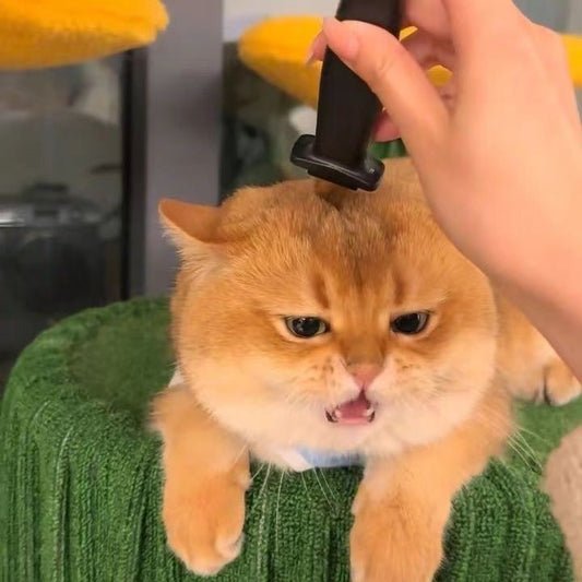 Cat Prank Fake Knife Fun - Cutier Store