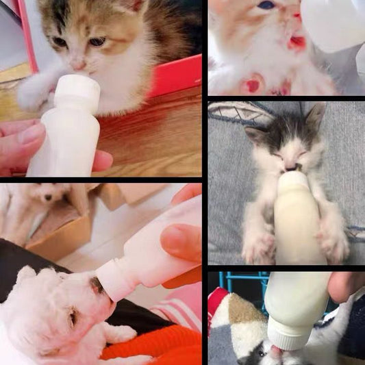 Cat Feeding Bottle Set (6PCs) - Cutier Store