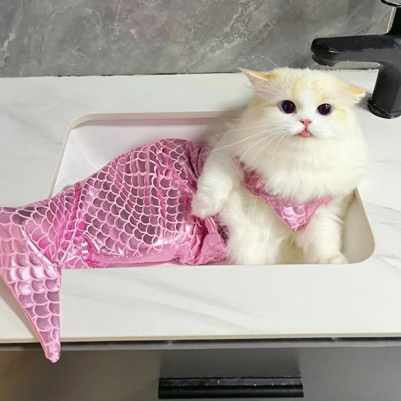 Cute Mermaid Cat suit - Cutier Store