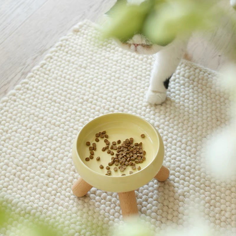 Cat Water and Food Bowl Cutier Store