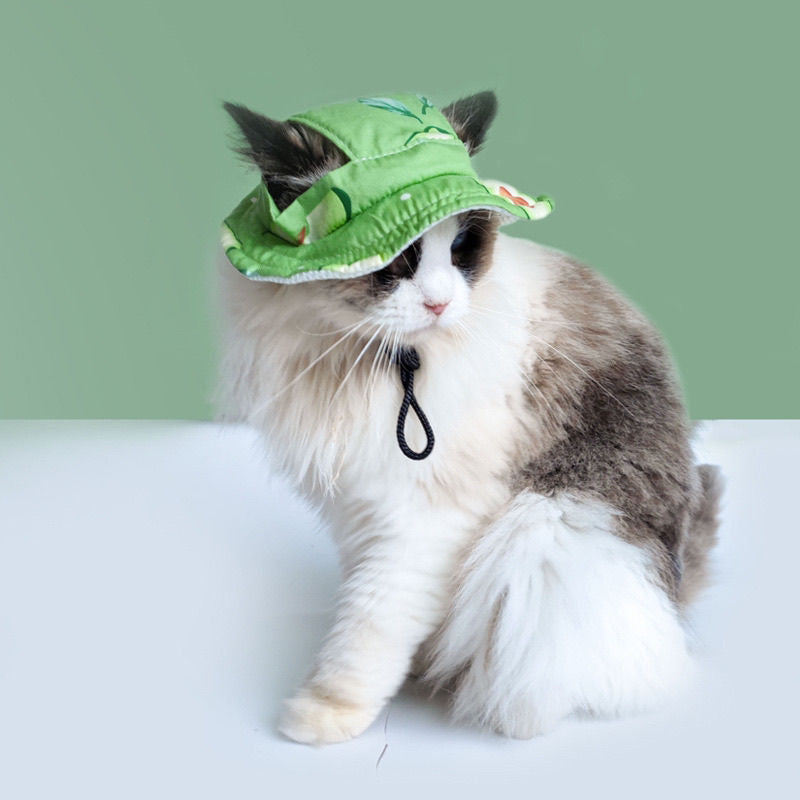Cute Ear Holes Pet Hats - Cutier Store