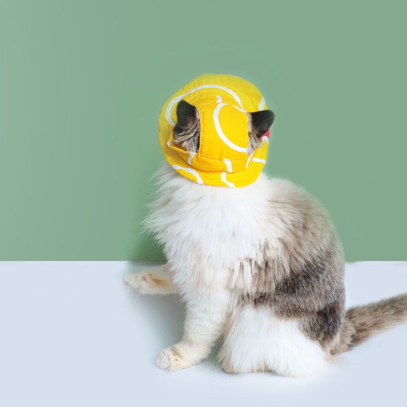 Cute Ear Holes Pet Hats - Cutier Store