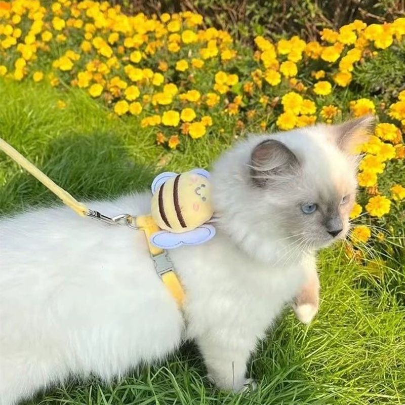 Butterfly Cat Bee Harness - Cutier Store