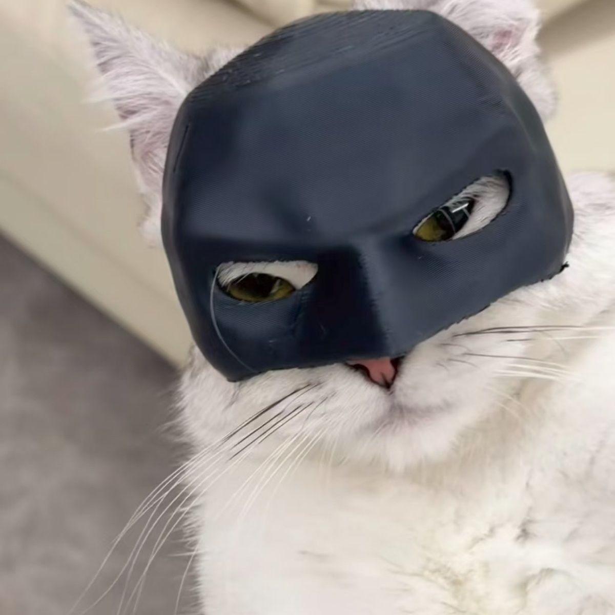 Bat Cat Halloween Gift Mask - Cutier Store