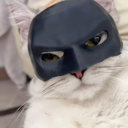 Bat Cat Halloween Gift Mask - Cutier Store