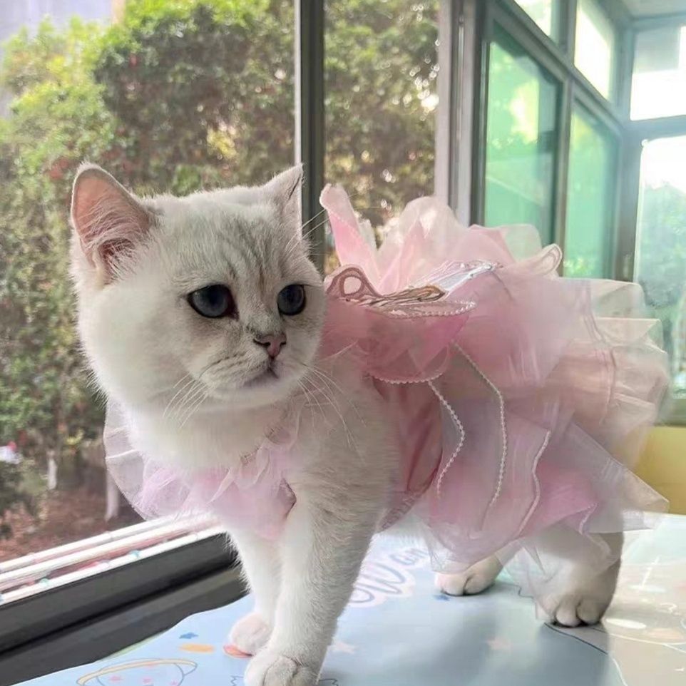 Cat and Dog Princess Butterfly Skirt Dress - Cutier Store