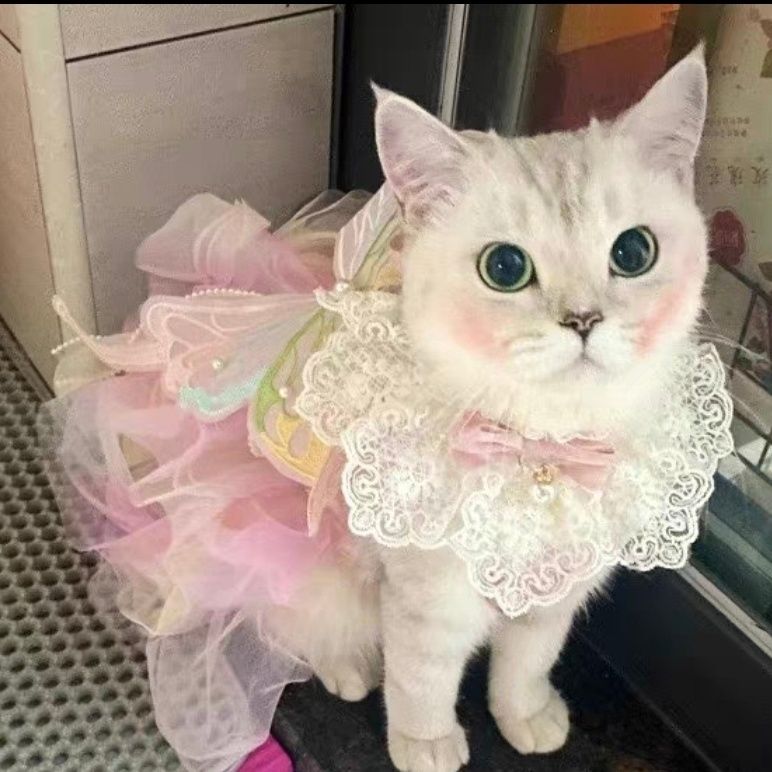 Cat and Dog Princess Butterfly Skirt Dress - Cutier Store