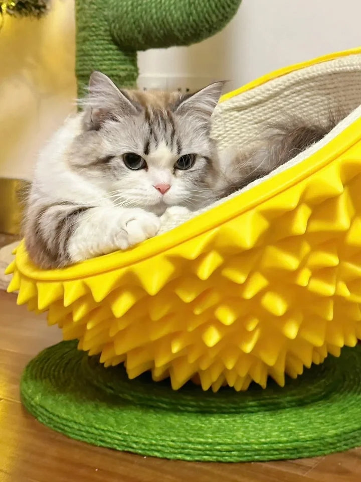 Durian Anti Scratching Bed - Cutier Store