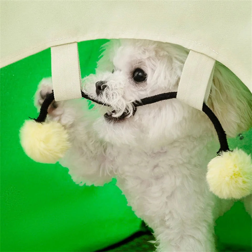 Cute Sun Protection Outdoor Pet Tent - Cutier Store