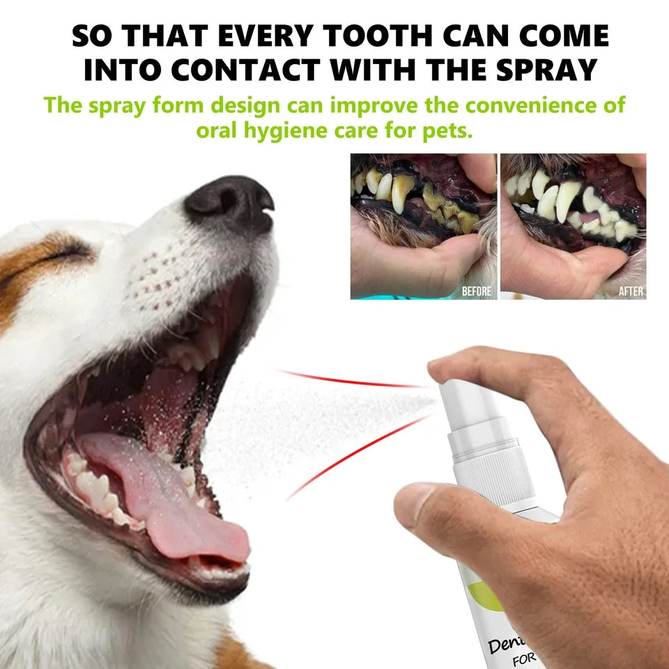 Pet Dental Spray Freshener / Cleaner - Cutier Store