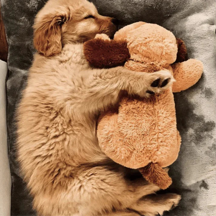 Chip Snuggle Buddy® - Cutier Store