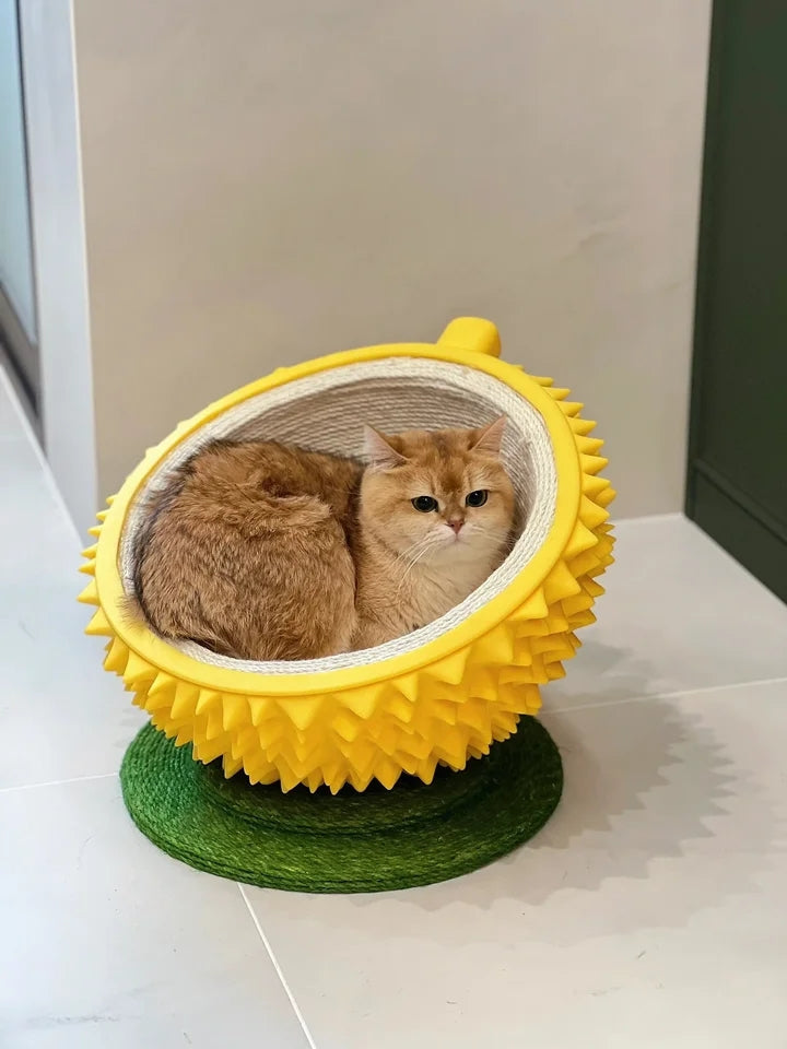 Durian Anti Scratching Bed - Cutier Store