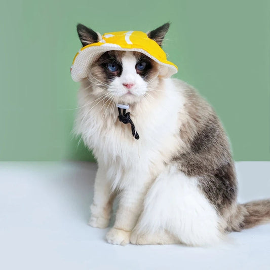 Cute Ear Holes Pet Hats - Cutier Store