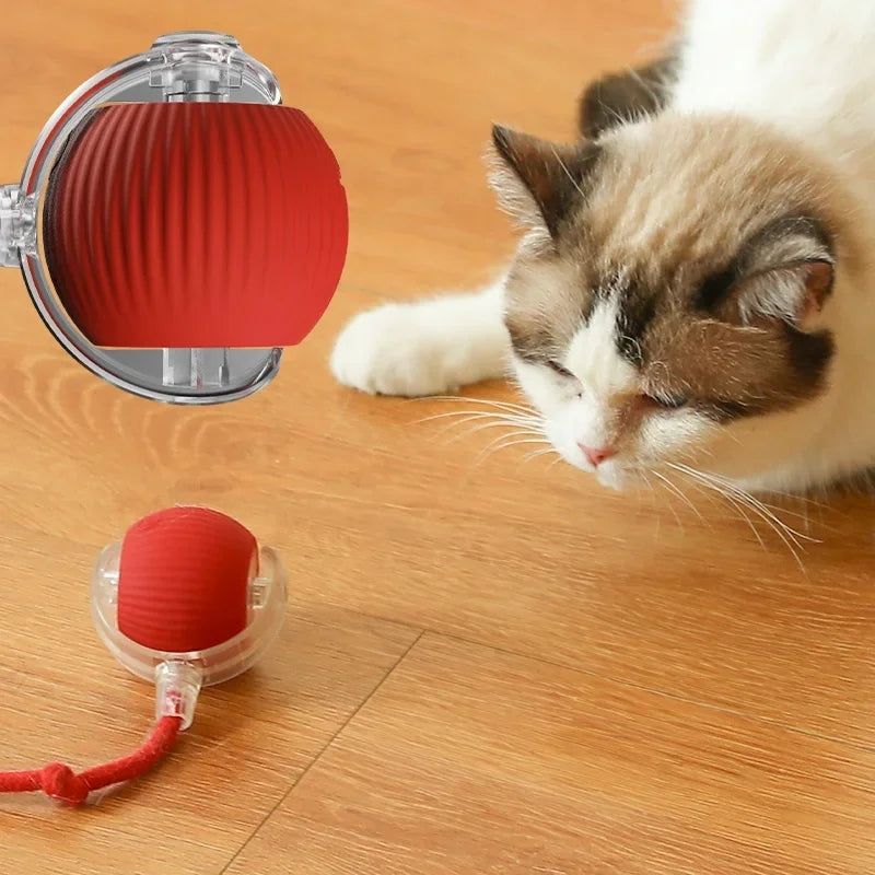 Smart cat Interactive automatic rolling Ball Cutier Store