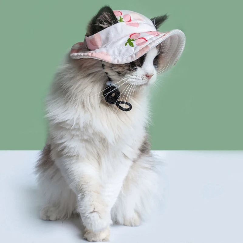 Cute Ear Holes Pet Hats - Cutier Store