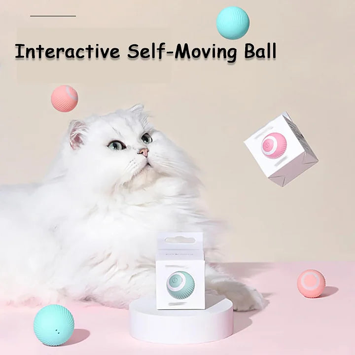 Smart Cat Interactive Ball Chug Ball Self rolling Cat tut-tut Ball - Cutier Store