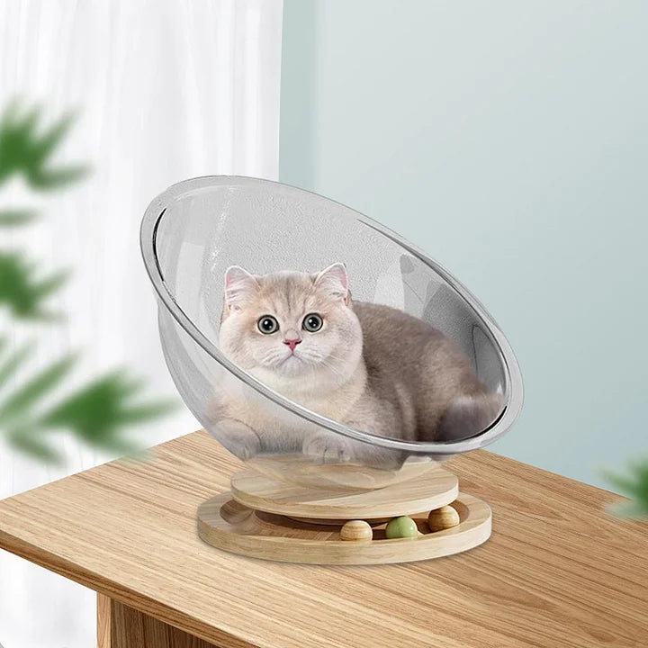 Space Capsule Cat Bed Transparnt Cat House - Cutier Store