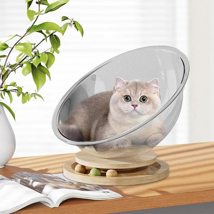 Space Capsule Cat Bed Transparnt Cat House - Cutier Store