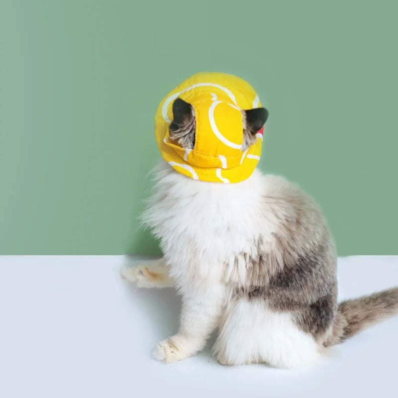 Cute Ear Holes Pet Hats - Cutier Store