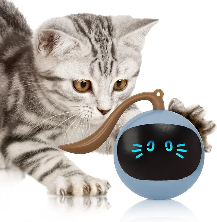 Cat Toys 360°Self Rolling smart Interactive Ball Hunting Toy - Cutier Store