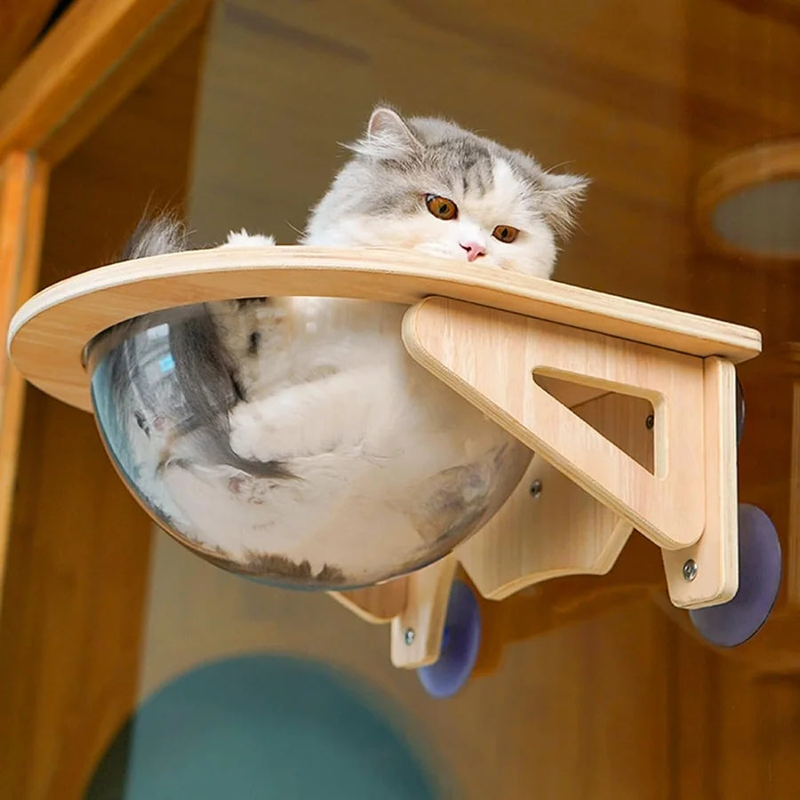 Acrylic Cat Window Perch for Indoor Cats, 20kg/30kg Load Bearing Cat Hammock - Cutier Store