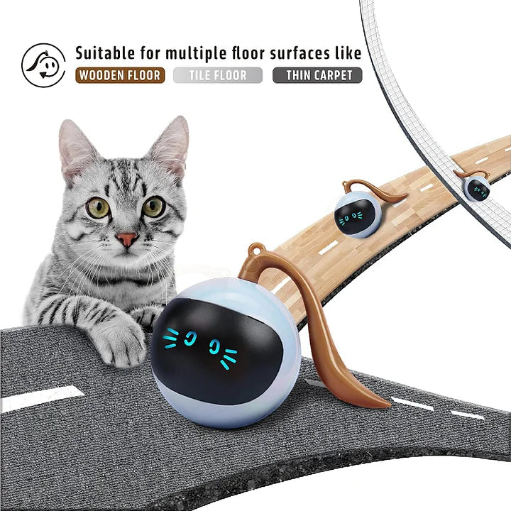 Cat Toys 360°Self Rolling smart Interactive Ball Hunting Toy - Cutier Store