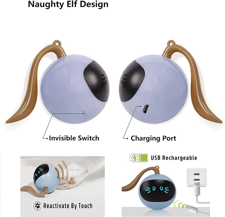 Cat Toys 360°Self Rolling smart Interactive Ball Hunting Toy - Cutier Store