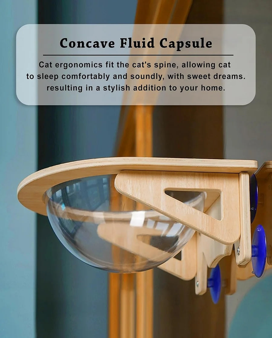 Acrylic Cat Window Perch for Indoor Cats, 20kg/30kg Load Bearing Cat Hammock - Cutier Store