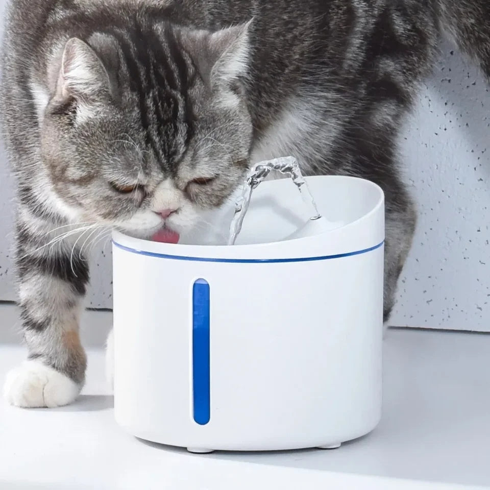 Smart Cat water fountain Cutier Store