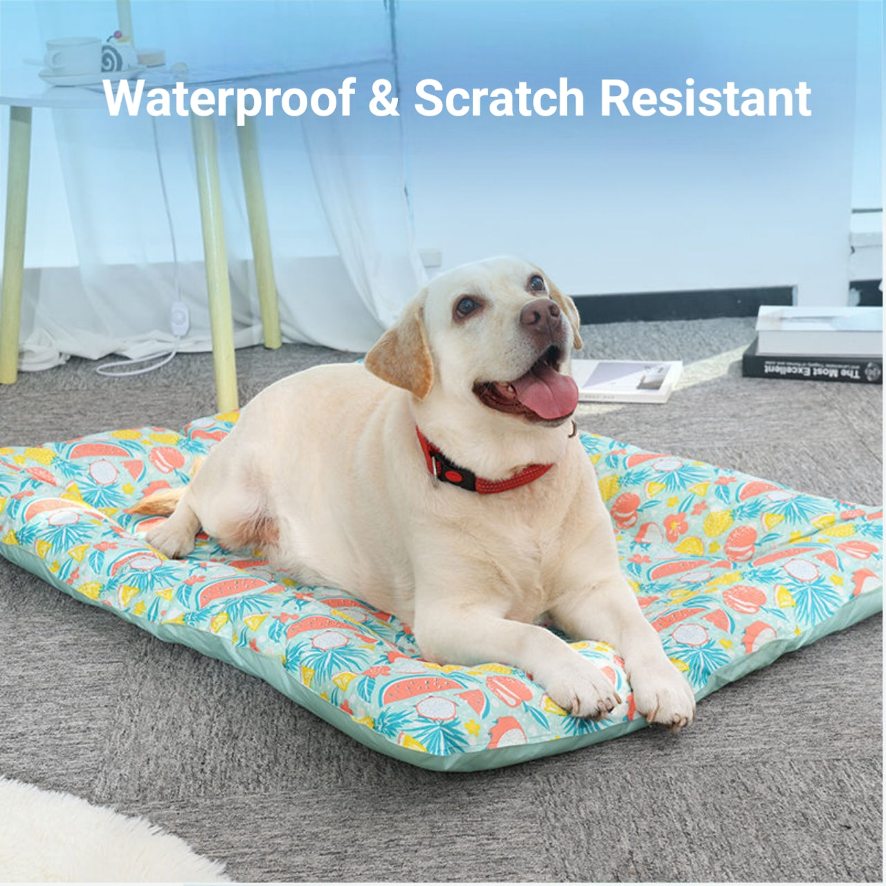 CUTIER Pet fruity ice Bed - Cutier Store