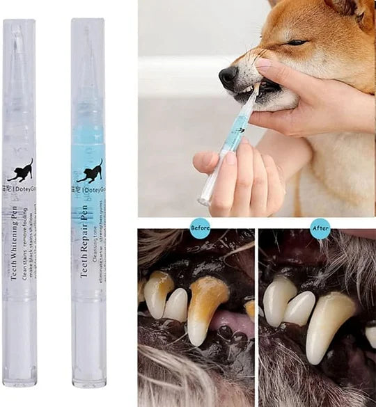 Cat & Dog Toothbrush Pen Repairing Kit, Pet Teeth Cleaning Pen for Dental Care, - Cutier Store
