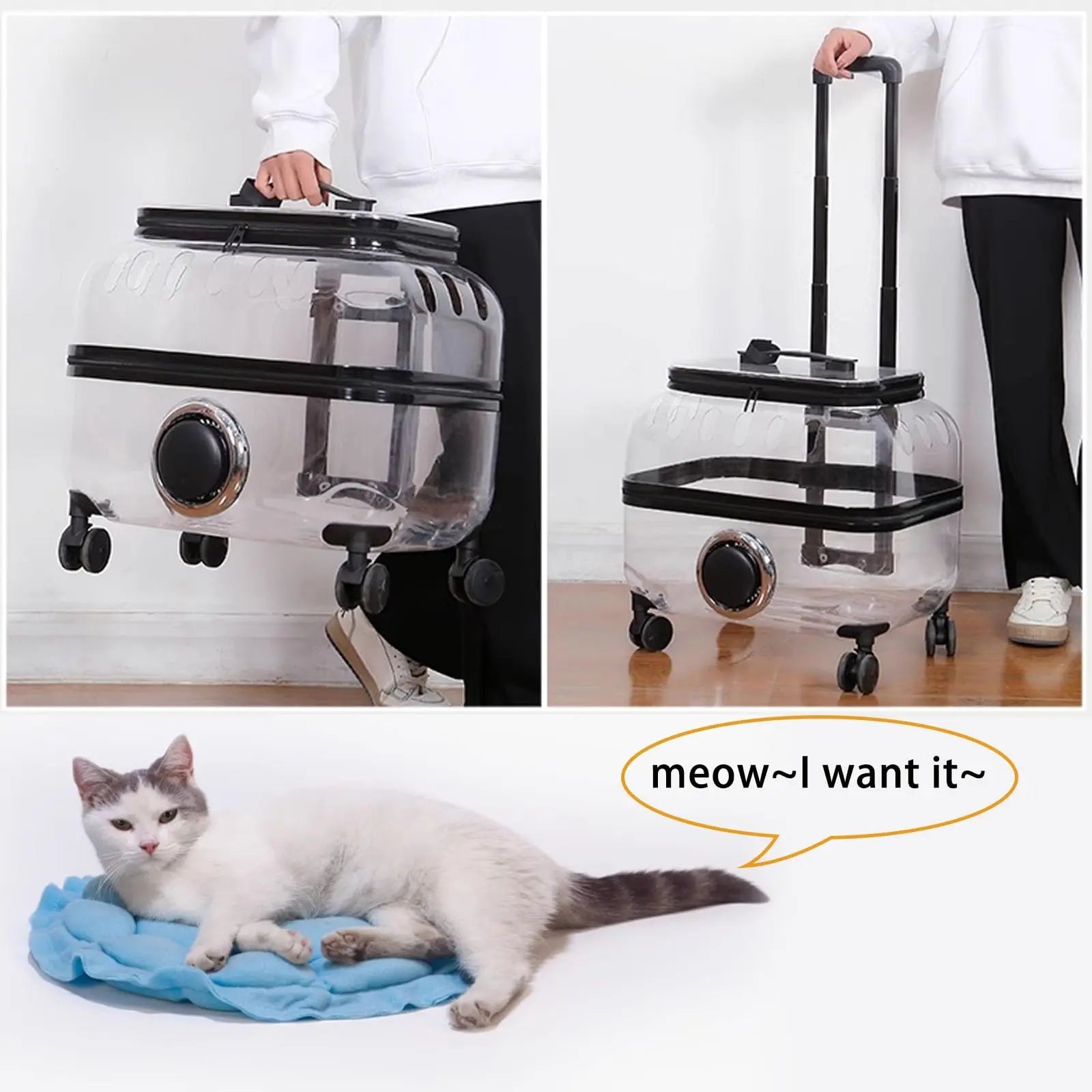 CutierStore® Transparent Pet Travel Trolley - Cutier Store