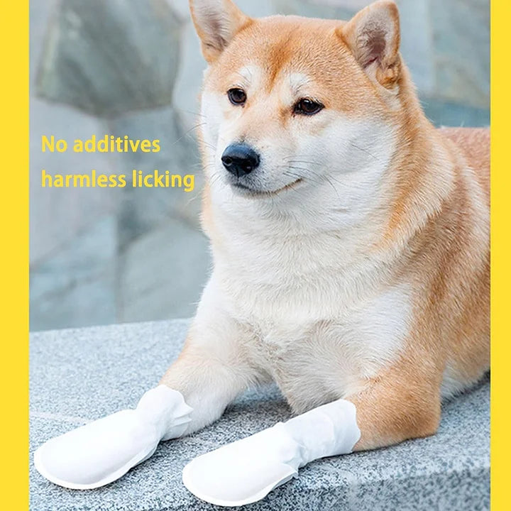 Disposable Dog Shoes CUTIER STORE - Cutier Store