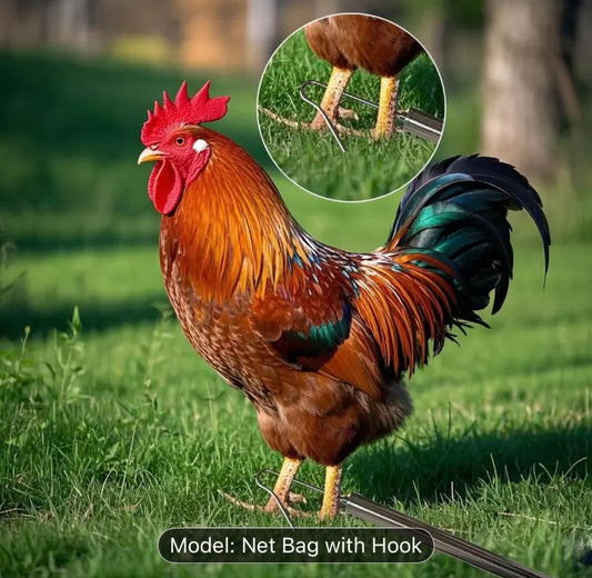 Heavy Duty Animal Catch Net with Hook – Telescopic Handle for Cats, Chickens, Rabbits, Ducks & Small Animals