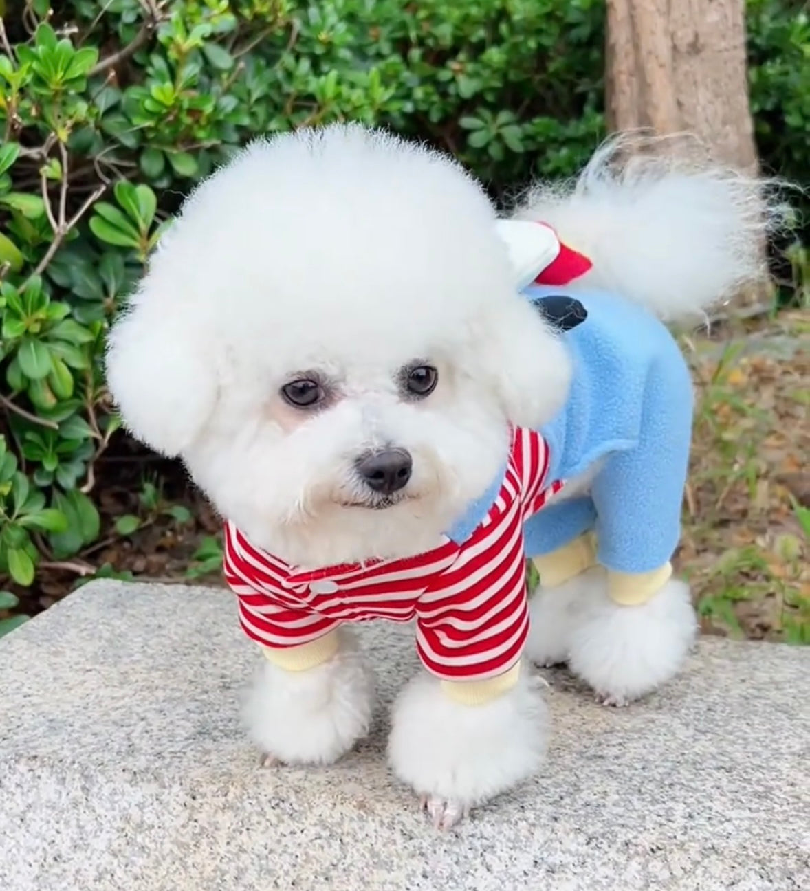 Funny cute Pet Winter Cartoon vest