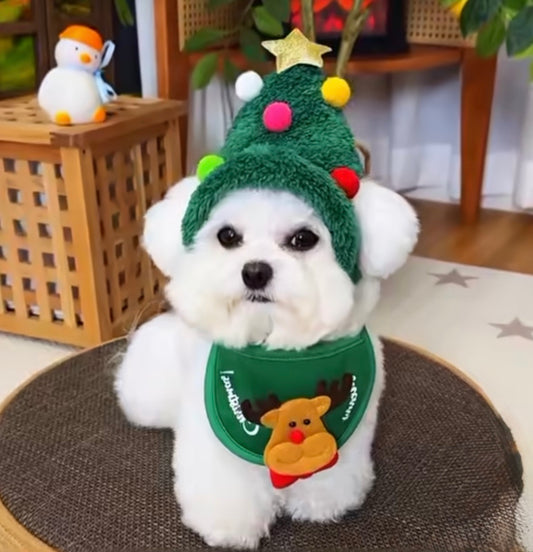Cat Dog Fav Christmas Hat Suit