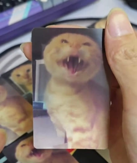 😼 Holographic Cat Reaction FlashCard – Funny 2-Image Flip Acrylic Meme Tag Keepsake