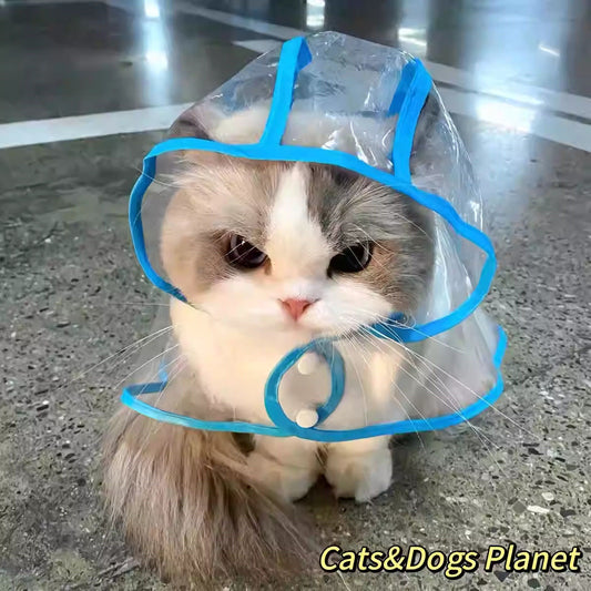 Cat Raincoat - Cutier Store