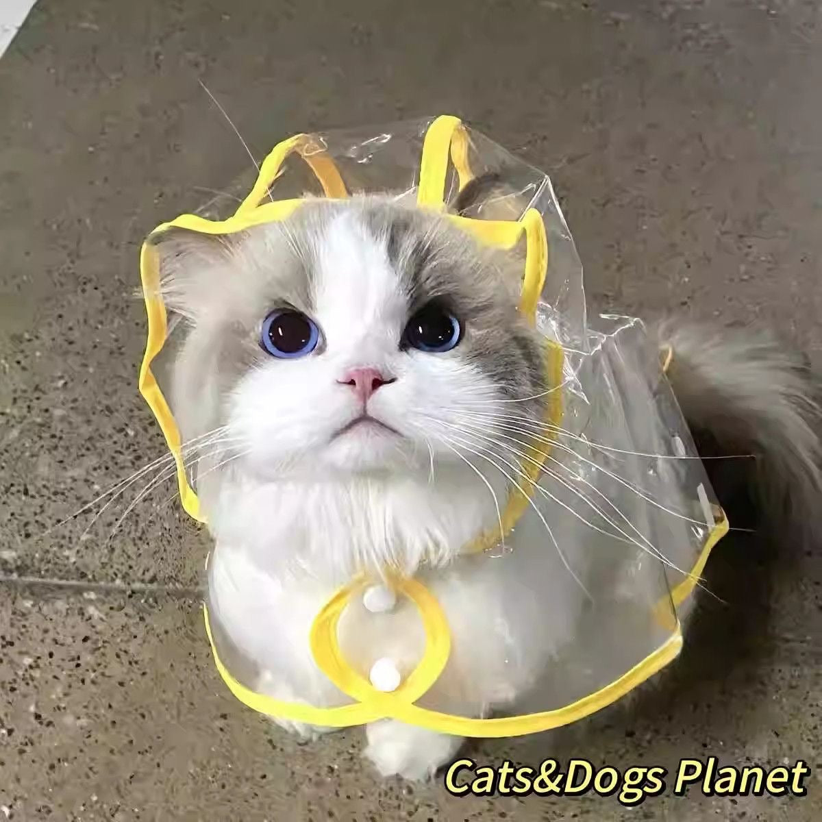 Cat Raincoat - Cutier Store