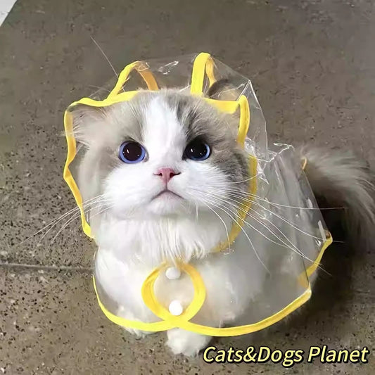 Cat Raincoat - Cutier Store