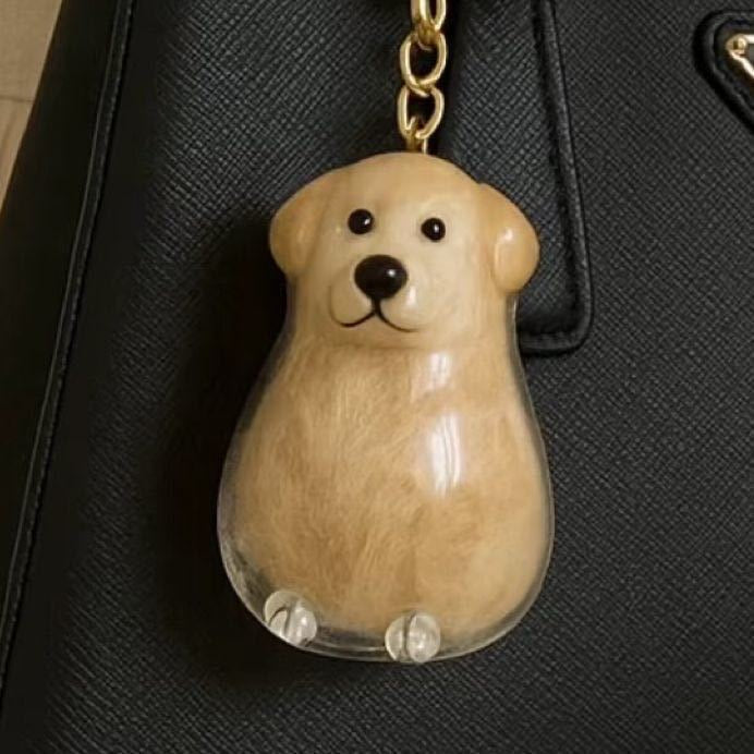 Dog Hair Keepsake Keychain – Memory Capsule Pendant - Cutier Store