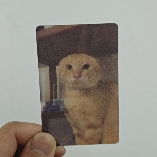 😼 Holographic Cat Reaction FlashCard – Funny 2-Image Flip Acrylic Meme Tag Keepsake