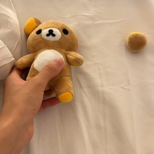 Adorable Mini Brown Bear Plush Toy