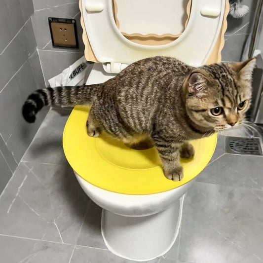 Cat Toilet Training Seat – Easy Potty Trainer for Cats | No More Litter Box Mess